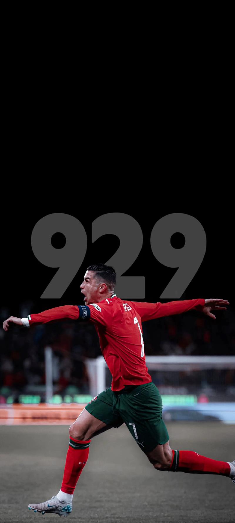 北京国安足协杯夺冠，法比奥荣膺金靴，球员拼尽全力，彰显拼搏精神。（北京国安问鼎足协杯，法比奥夺金靴，众将拼尽全力诠释拼搏精神）