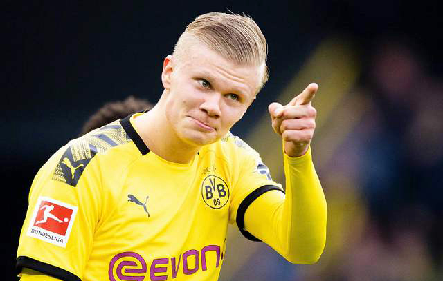 辽宁柏叶基地就绪，全力保障十五冬备战（辽宁柏叶基地准备就绪，全面护航十五冬备战）